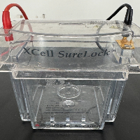 Invitrogen XCell SureLock Electrophoresis Mini Cell image 2